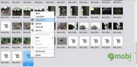 Copy to PC copy iphone to pc