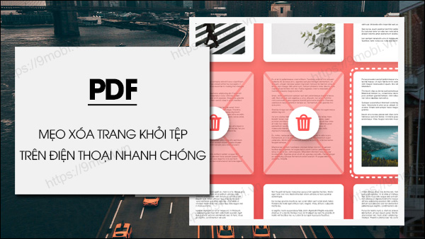 cach xoa trang pdf