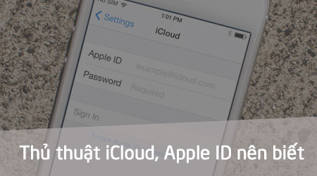 icloud apple id records