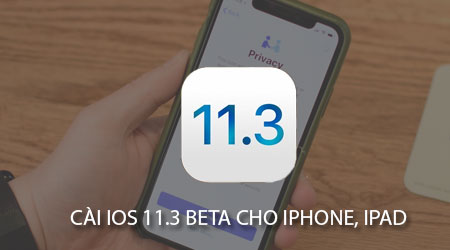 how to install ios 11 3 beta without earphone developer