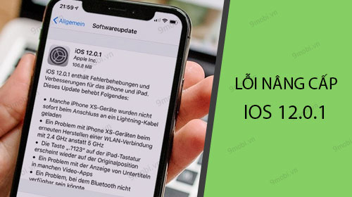 Các lỗi khi nâng cấp iOS 12.0.1 trên iPhone, iPad