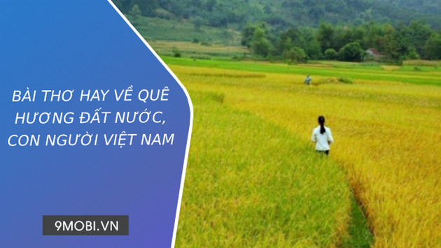 Top 20 bài thơ hay về quê hương đất nước và con người Việt Nam