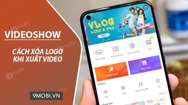 how to remove videoshow logo when extracting video