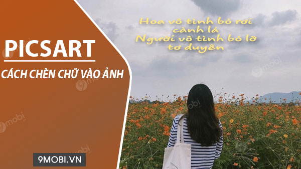 Cách Chèn Chữ Vào Ảnh Bằng Picsart, Thêm Quotes Hay, Chất