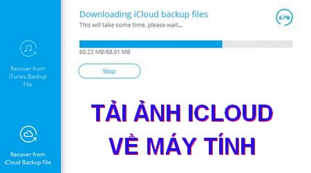 Cách tải ảnh từ iCloud về máy tính