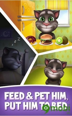 Talking Tom - Game nuôi và chăm sóc chú mèo Tom trên Android, iOS, Windows Phone