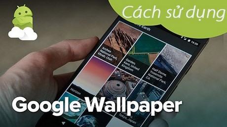 use google wallpapaer on android